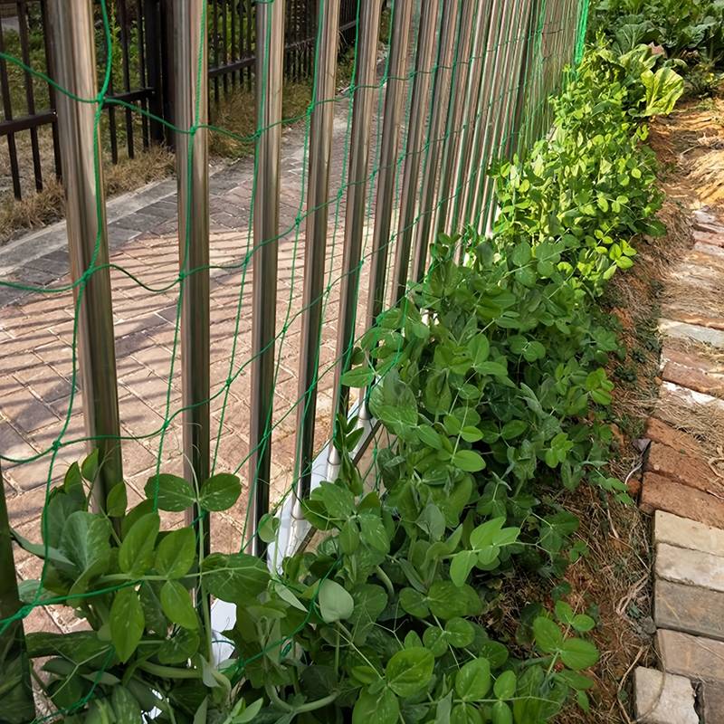 Garden Netting Gardening Plants Climbing