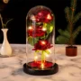 Three Roses LED Atmosphere Lamp