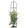 Tuscany Garden Obelisk Arch Climbing Plants Shrubs Trees Garden Essential
