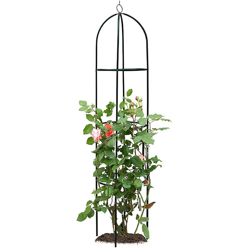 Tuscany Garden Obelisk Arch Climbing Plants Shrubs Trees Garden Essential